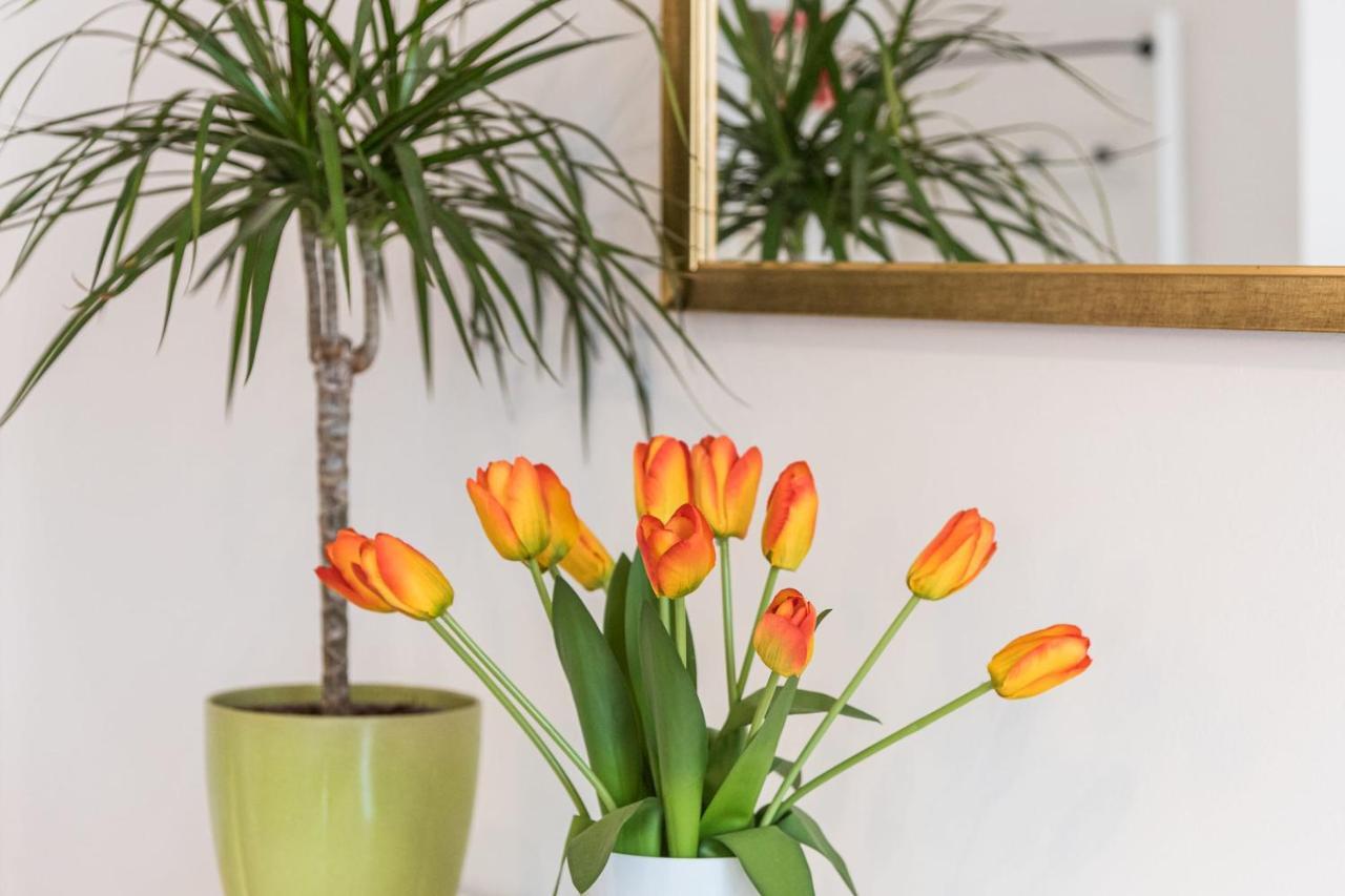 Guestready - The New Made In Porto Apartment Ngoại thất bức ảnh